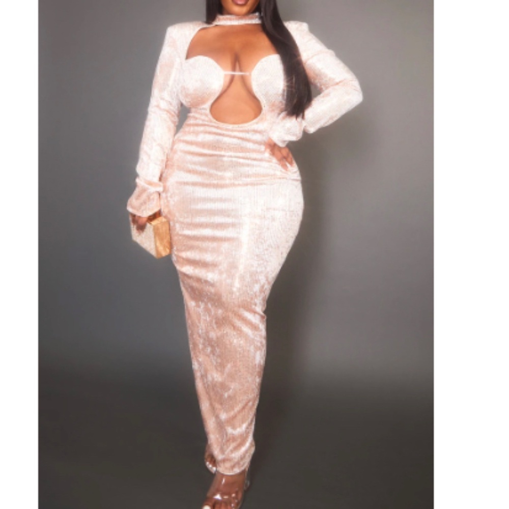 PLT Rose Dress